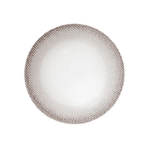 NEO Natural Monet Gray Toric Colored Contact Lenses 6 months disposable (1 Pack)